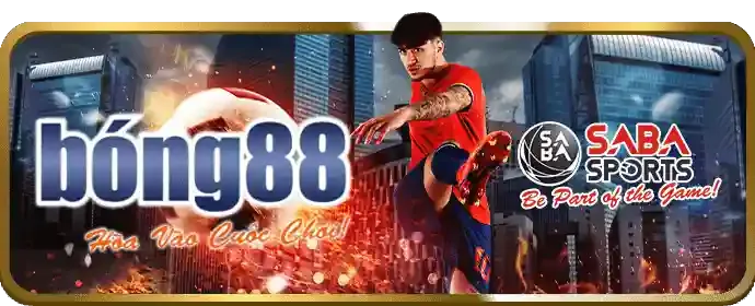 Quản lý tùy chọn Cookie